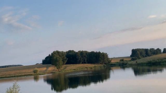 Покупка дачи - август 2022 год смотреть онлайн