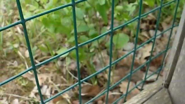 Желторотые птенцы смотреть онлайн