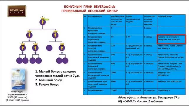 Маркетинг план компании Беверли клаб. BeverLee Club.