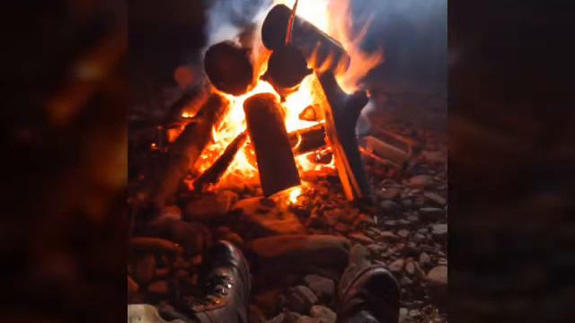 🐿🐿🐿Заготовка шишки !!! 🐿🐿🐿Дальний восток 🐿🐿2020 смотреть онлайн