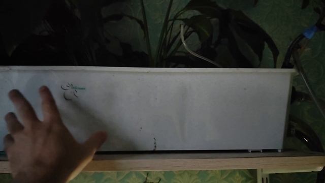 18.10.23 Изменения в моих аквариумах. Продолжаю скрещивание пециллии и меченосцев.