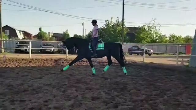 Голштинец Фантастик смотреть онлайн