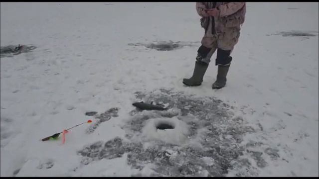 Клев целый день!!!! Клевое место. д. Савельево смотреть онлайн