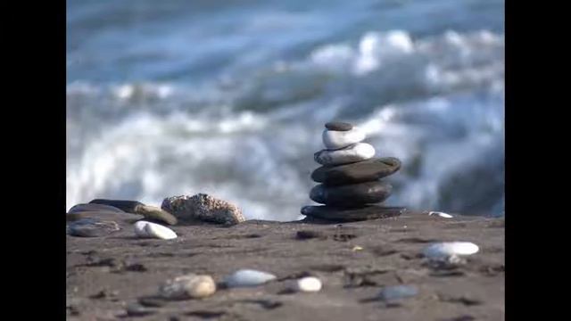 Flowin - STS24 Pro + Protoplasm TSM