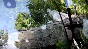 Замена автостекла: сравниваем российкое, китайское и "оригинальное" автостекло