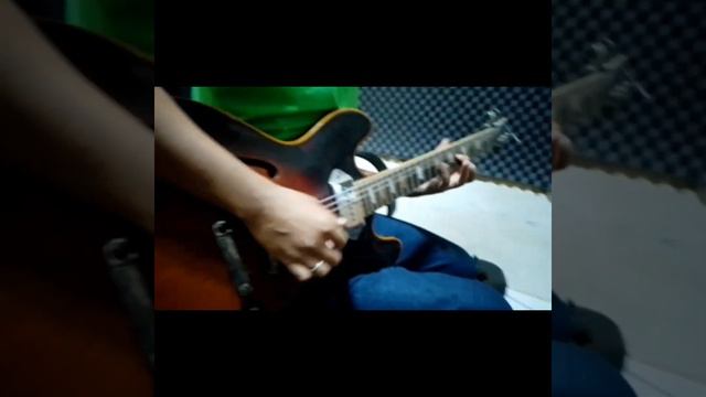 Fender Squier Stratocaster JV Japan 1982  VS Canora Japan 1969