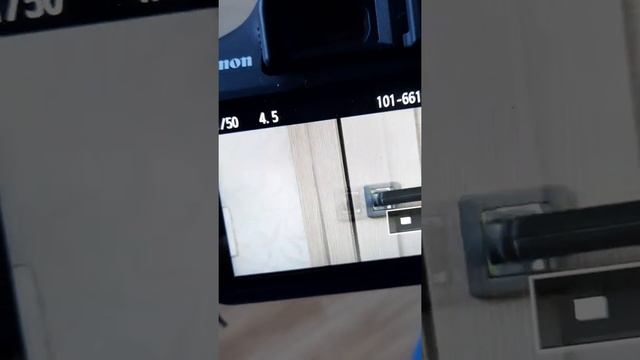 Canon 2000d как работает