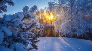 НЕВЕРОЯТНО Красивая Зимняя Сказка* Фантастически Красивые Мелодии Можно Слушать Бесконечно....