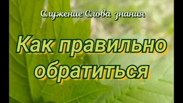 "Как правильно обратиться" смотреть онлайн