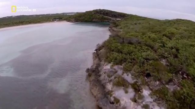 Осушить океан: Бермудский треугольник. смотреть онлайн