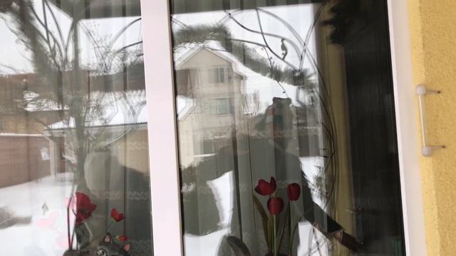 Наша Дача зимой. смотреть онлайн
