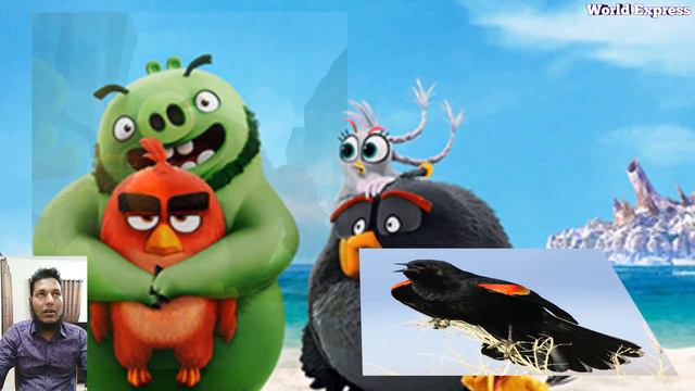 The Angry Birds Movie 2 Characters in Real Life смотреть онлайн