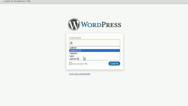 Insert admin Panel in Wordpress смотреть онлайн