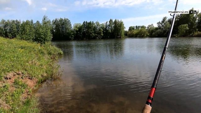 Дикий карп чуть не вымотал всю леску. Трофейный карп на поплавок. смотреть онлайн