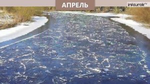 Времена года  Весна | Окружающий мир 2 класс #28 | Инфоурок