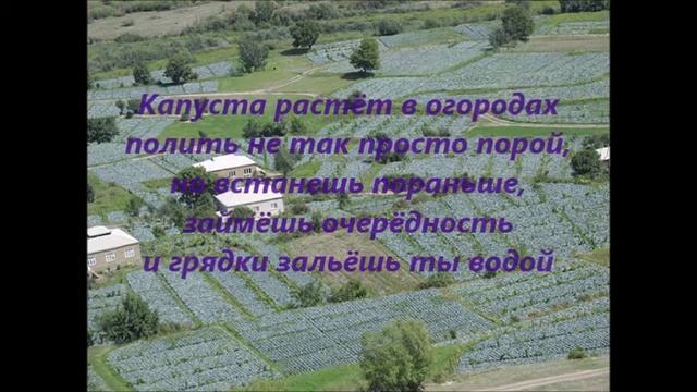 Стихи про Хлют. смотреть онлайн
