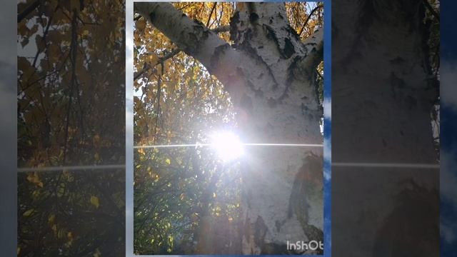 Слайд - шоу "И рисует Волшебник новый Узор..." ? смотреть онлайн