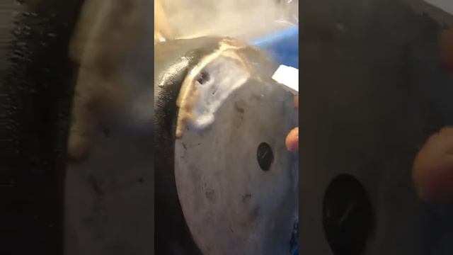 Экотовары Эрсаг и старая сковородка. смотреть онлайн