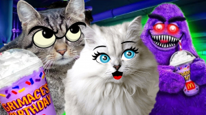 Никогда НЕ ДАВАЙ пить ГРИМАС ШЕЙК своим КОШКАМ!!!! БЕДА в нашем ДОМЕ!!!