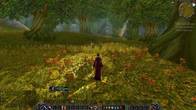 Let's Play World of Warcraft - Classic Vanilla - Immersive Hardcore Run - Human - Warlock Part 1 смотреть онлайн