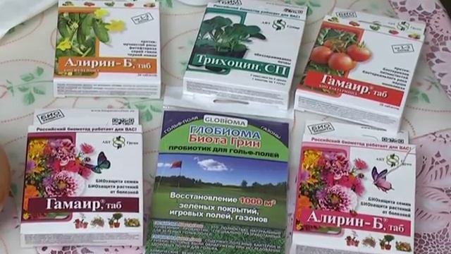 Дачные советы с Галиной Старосельцевой Январь 23-2020 смотреть онлайн