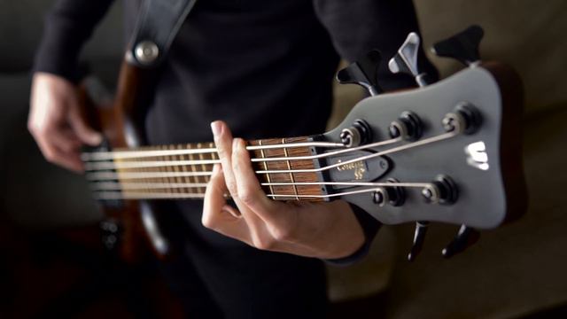 Three Days Grace - I Hate Everything About You (Bass Cover) + TAB смотреть онлайн