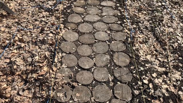 Как перезимовали садовые дорожки. Кошка на карантине, а мы коптим мясо смотреть онлайн