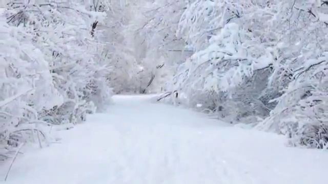 Как ж зима может быть красива оно ни только холодная смотреть онлайн
