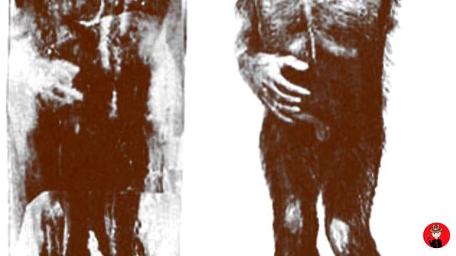 СНЕЖНЫЙ ЧЕЛОВЕК в АМЕРИКЕ: история поисков смотреть онлайн