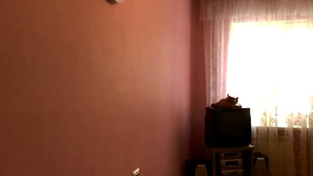 ПРОДАЖА 2 КОМНАТ В З-Х КОМНАТНОЙ КВАРТИРЕ смотреть онлайн