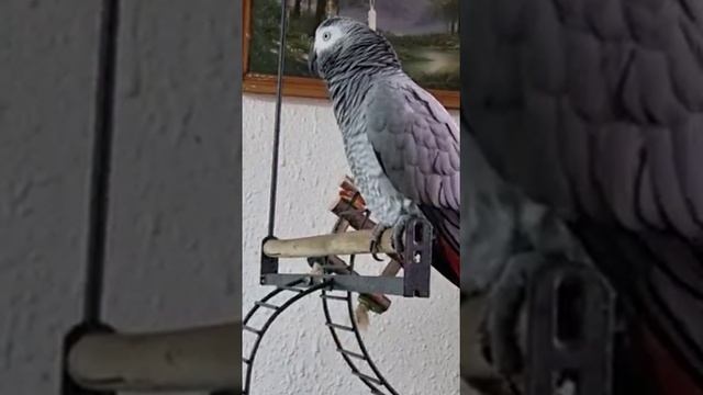 Когда в доме есть трехлетний малыш... смотреть онлайн