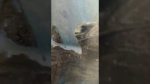 А6с4 вода в салоне