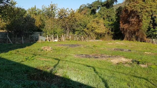 Продается или в обмен на авто земля 6 соток, в пос. Нижняя Волконка, Лазаревское. Цена 1800,0 т.р. смотреть онлайн