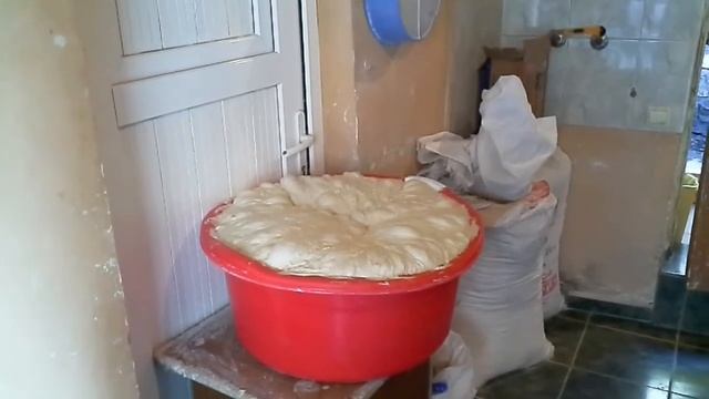 Как заработать на хлебе ШОТИ? Прибыльная ниша. КАК ЗАРАБОТАТЬ ДЕНЬГИ. смотреть онлайн