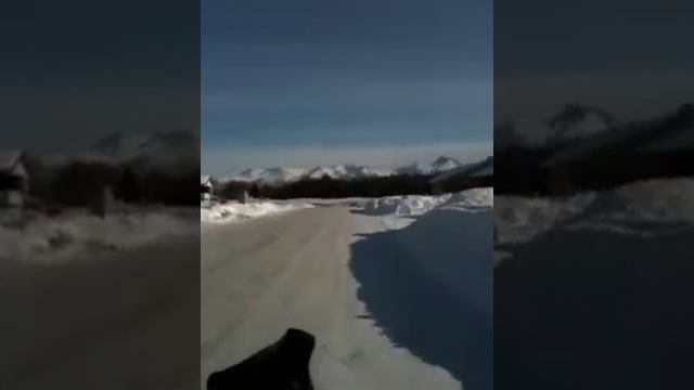 Electric Cycle Rickshaw Ride смотреть онлайн