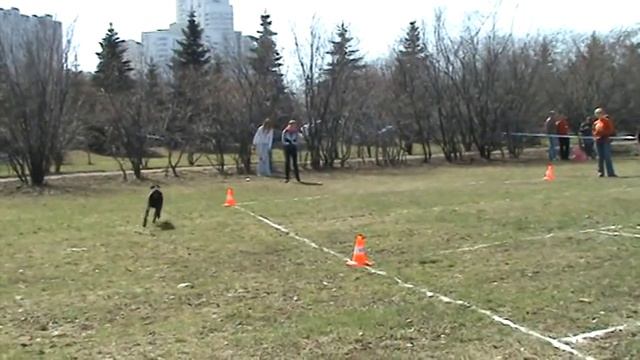 Disk Hunters 24.04.11. "В стиле дискА" Мастер-2. Татьяна и Нил смотреть онлайн