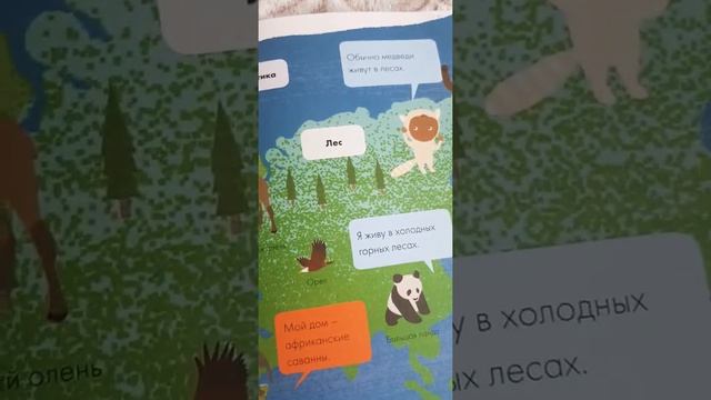 Где живут животные? смотреть онлайн