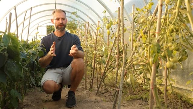 Как оздоровить почву в теплице осенью. смотреть онлайн