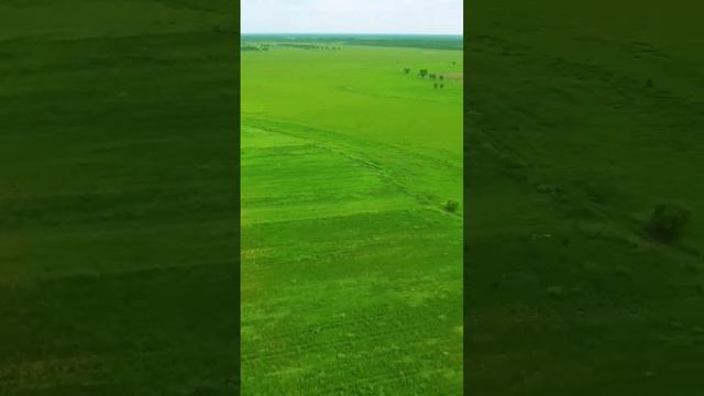 Озеро Утиное, Еврейская автономная область смотреть онлайн