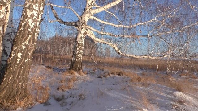 Как в деревне сэкономить на дровах ! Отопление частного дома смотреть онлайн