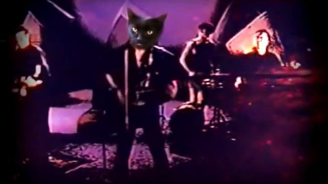 Кино - Котэ по имени Солнце (Black Cat cover) смотреть онлайн