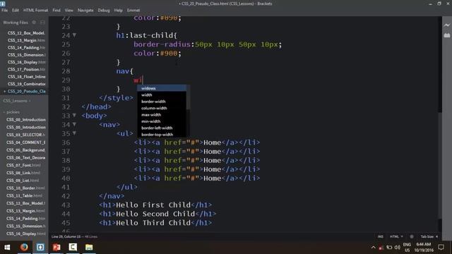 CSS 19 Pseudo Class смотреть онлайн