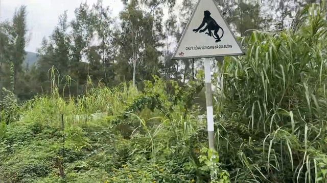 ОДНА в Дананге. Почти разочаровалась из-за жилья и интернета ВЬЕТНАМ ?? 2023