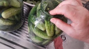 ОГУРЦЫ «ПРЯМЫМ ПОСОЛОМ»