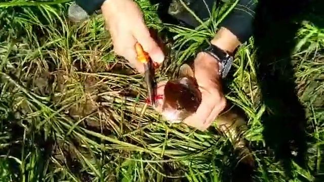Рыбалка на приразломном месторождении!!! смотреть онлайн