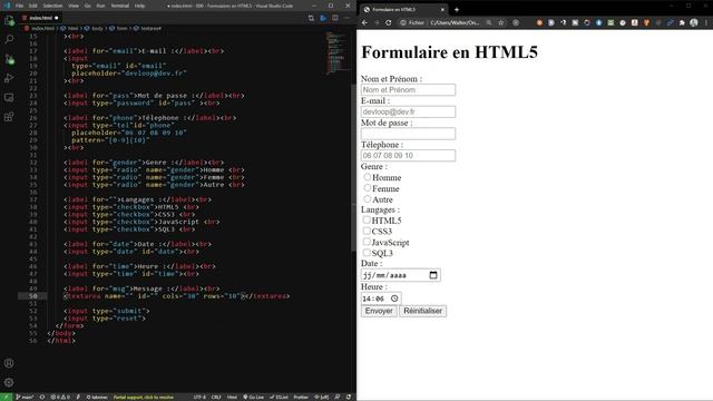 Formulaire en HTML5 - Partie 2 @Cours Complet de HTML5 & CSS3 | DevLoop #13 смотреть онлайн
