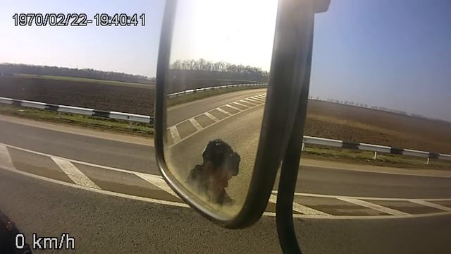 ДПС. Весовой контроль смотреть онлайн