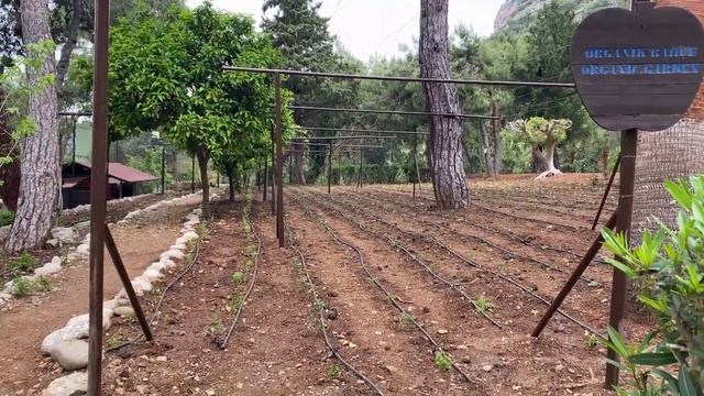 LIBERTY LYKIA FETHIYE 5* - Обзор отеля. ОЛЮДЕНИЗ. ТУРЦИЯ 2023