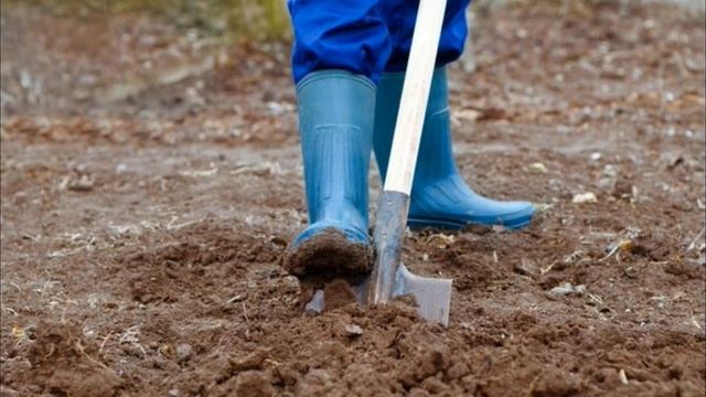 Весенняя подготовка почвы. Перекопка. Какие правила нужно соблюдать смотреть онлайн