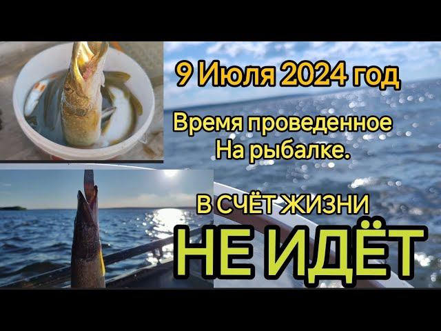 9 Июля 2024 Я снова на рыбалке. смотреть онлайн